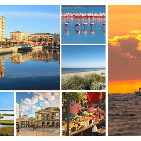 Douc Evasion - Climatise Proche Montpellier, Parc Expo Et Aeroport, Avec Parking Et Acces Rapide Aux Plages * Lattes